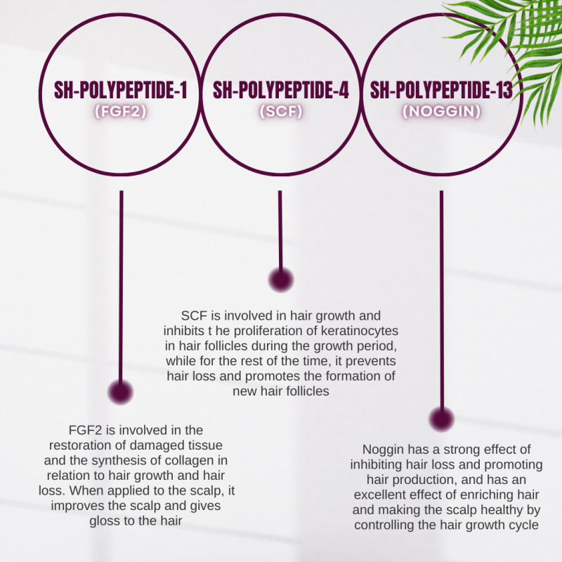 HAIRNA Exosome Hair Fill