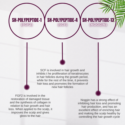 HAIRNA Exosome Hair Fill